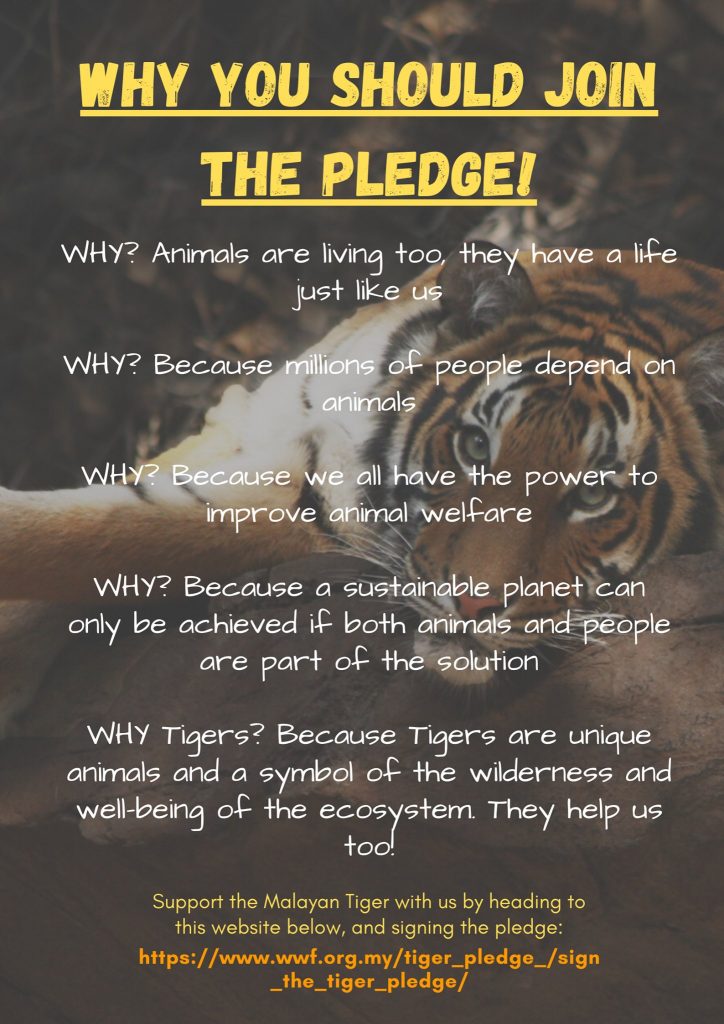 WWF Malaysian Tiger-Pledge Competition 2020 - UCSI International School Springhill WWF Malaysian Tiger-Pledge Competition 2020 - UCSI International School Springhill